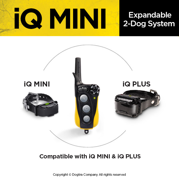 Dogtra IQ Mini